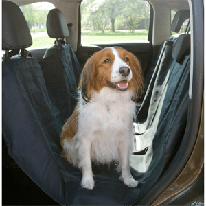 autodeken hond