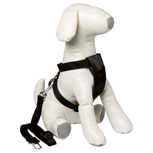 spullen voor honden autobench