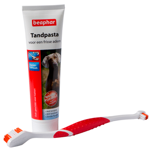 tandenborstel