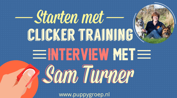 clickertraining hond