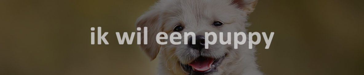 ik wil een puppy