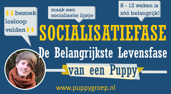 socialisatie pup