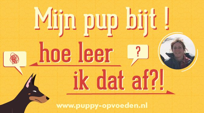 puppy opvoeden podcast aflevering 5
