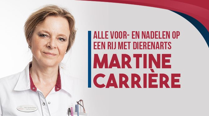 castratie hond voor en nadelen