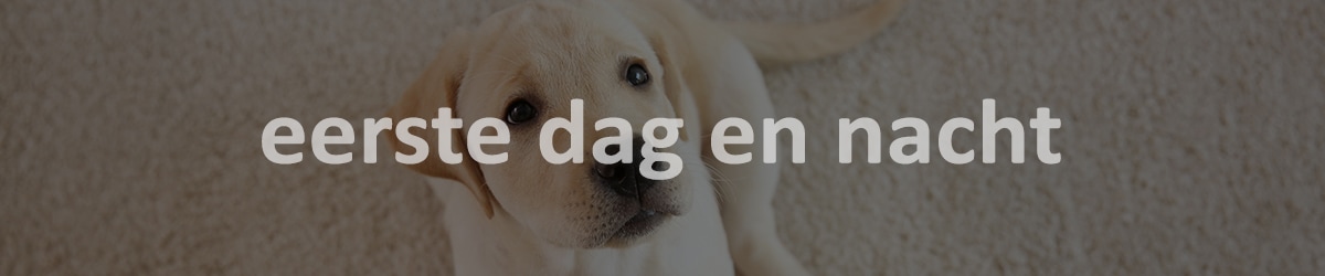 puppy eten per dag puppy eten per dag
