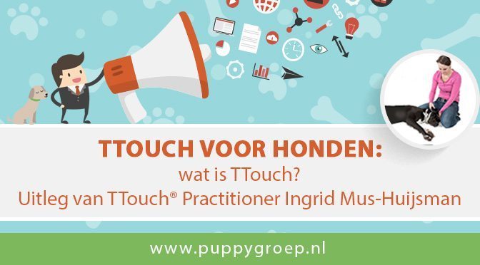 ttouch voor honden