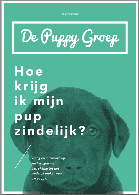 eerste versie design boek 1