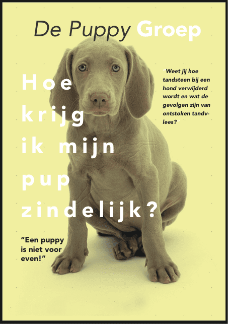 eerste versie design boek 1
