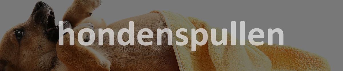 welke hondenspullen nodig voor mijn puppy blog?