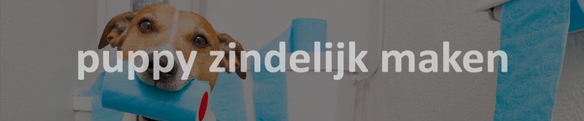 puppy zindelijk maken