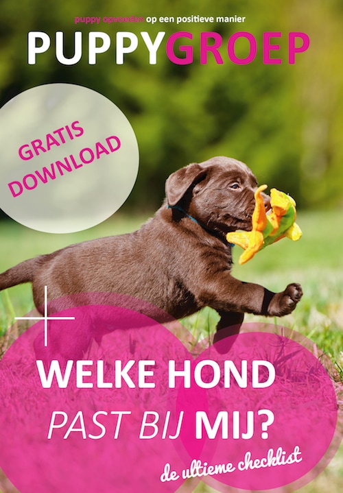 welke hond past bij mij?
