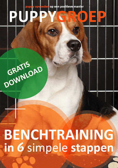 benchtraining checklist