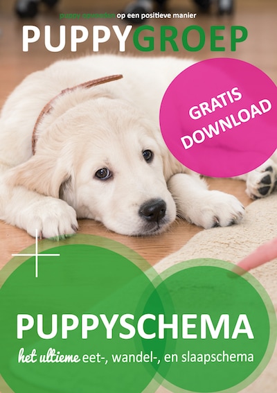 puppyschema
