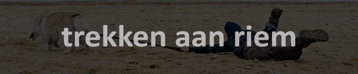 hond trekt aan de riem