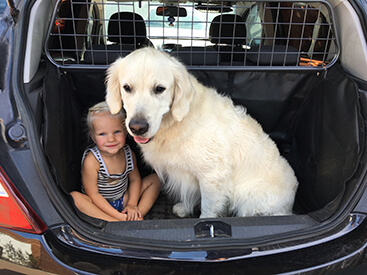 honden autodeken