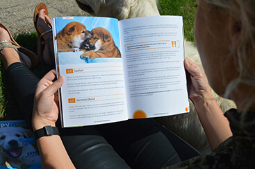 puppy bijten afleren handboek