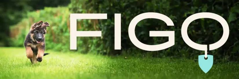 figopet review