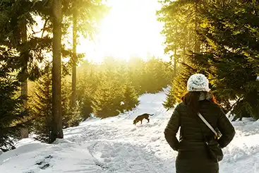 vrouw met zwarte labrador in de sneeuw wandelen