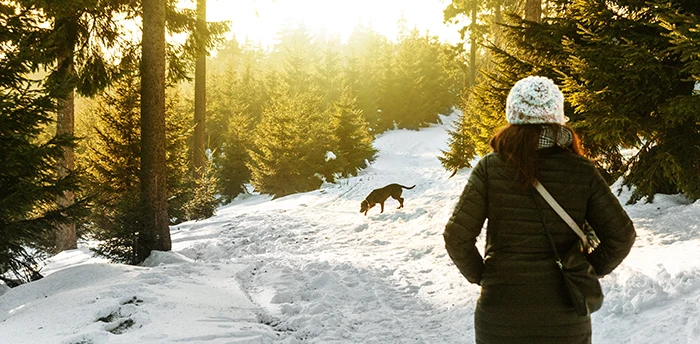vrouw met zwarte labrador in de sneeuw wandelen